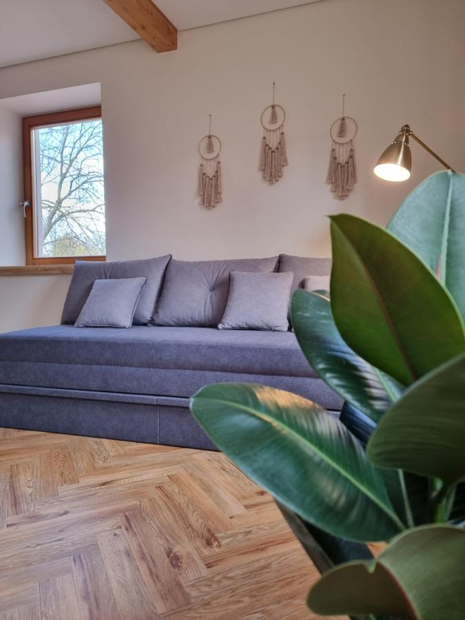 Old Town Jiva Apartment Каунас Екстериор снимка